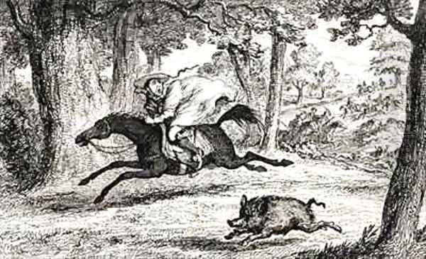 Cardinal Balue chasing a Boar - view 1
