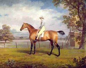 The Duke of Hamiltons Disguise with Jockey Up
