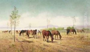 Horses Grazing Berkeley by William Hahn