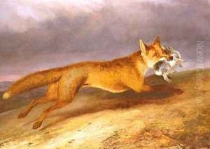 Fox making off with a Rabbit by Charles Hancock