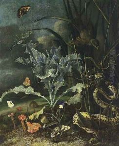 A Forest Floor Still-Life 1666 by Otto Marseus van Schrieck