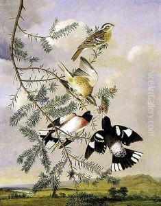 Rose Breasted Grosbeak by John James Audubon