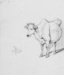 Study Of A Cow by George Chinnery