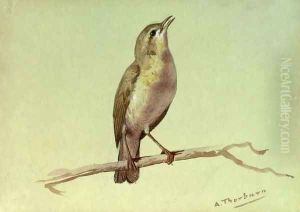 A Lark A Lark