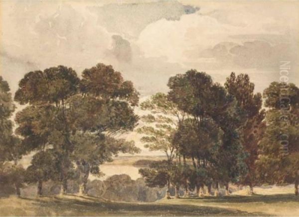 Parkland Landscape With Water - view 1