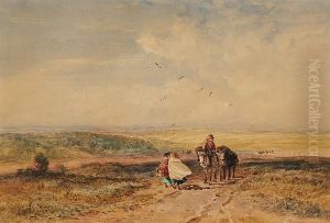 A Sandy Common