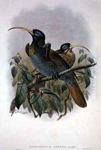 White Sickle billed Bird of Paradise by William M. Hart