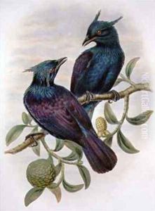 Phonygama Purpureiviolacea by William M. Hart