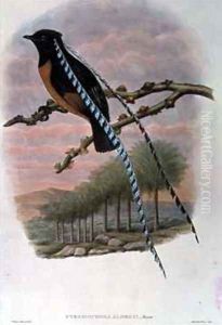 Pteridophora Alberti King of Saxony Bird of Paradise by William M. Hart