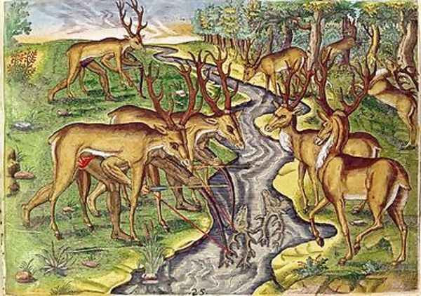 Stag Hunt - view 1