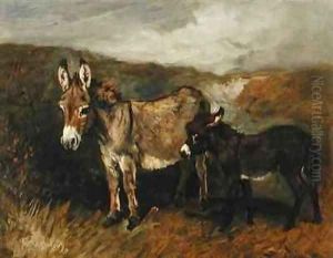Donkeys out on the Moor by John Emms