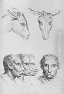 Similarities Between the Head of a Donkey and a Man by Charles Le Brun