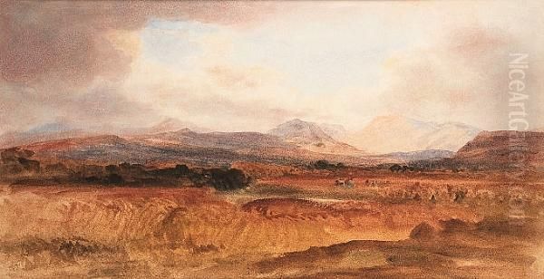 Harvesters At Work - view 1