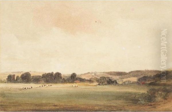 Cattle Grazing In A Field In Lancashire - view 1