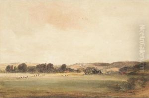 Cattle Grazing In A Field In Lancashire