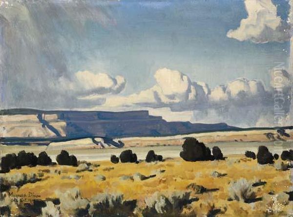 Arizona Strip East - view 1