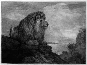 A Lion A Lion Resting on a Rock engraved by the artist by George Stubbs