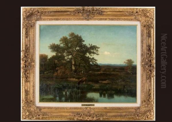 The Pond In The Forest - view 1