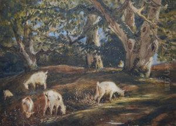 Sheep Grazing On A Wooded Hillside - view 1