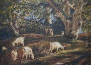 Sheep Grazing On A Wooded Hillside by Jules Dupre