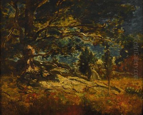 Trees- Nocturne - view 1
