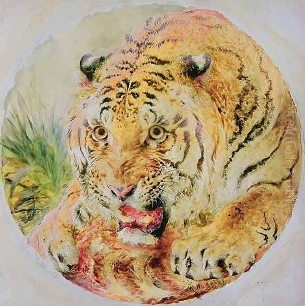 Tigers Head - view 1