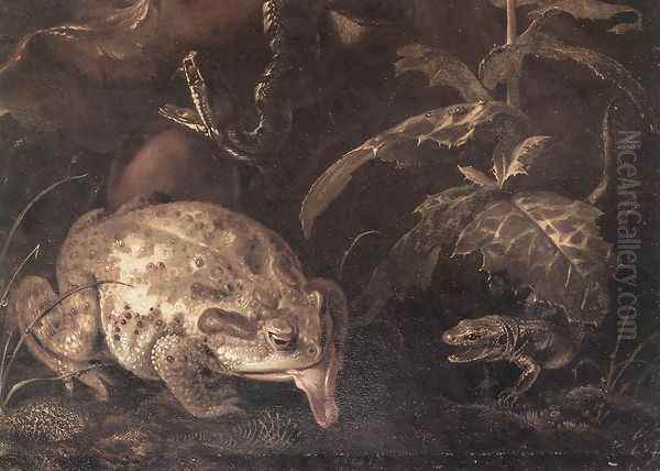 Still-Life with Insects and Amphibians (detail) 1662 - view 1