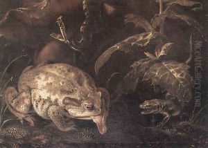 Still-Life with Insects and Amphibians (detail) 1662 by Otto Marseus van Schrieck