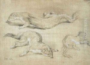 Ferrets by James Ward