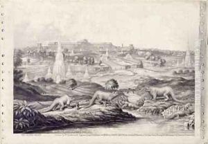 The Crystal Palace