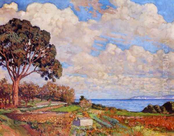 Large Tree near the Sea - view 1