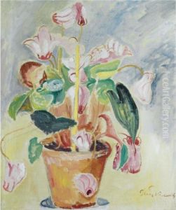 Alpviol (cyclamen) Alpviol (cyclamen)