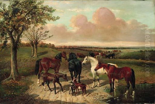 The Path To Pasture - view 1