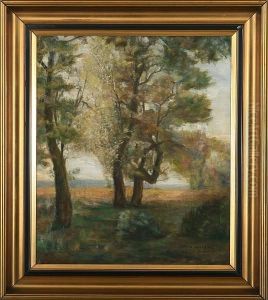 Landscape Landscape