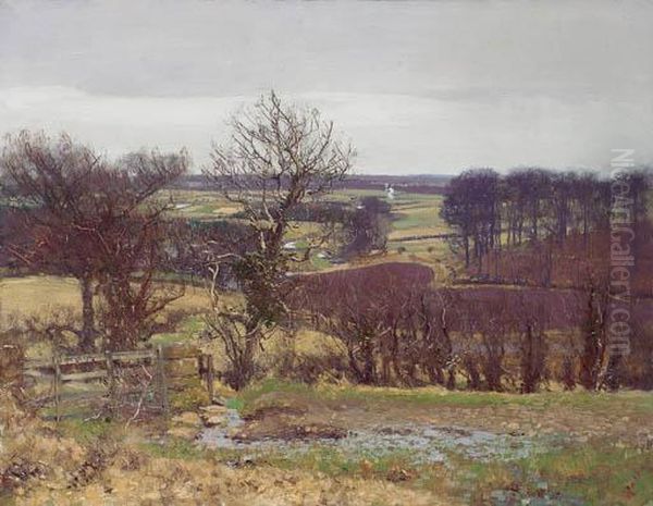 Late Autumn, Near Dalry, Ayrshire - view 1