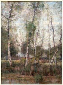 Bouleaux Au Bord D'un Etang