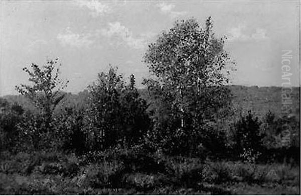 Paysage - view 1