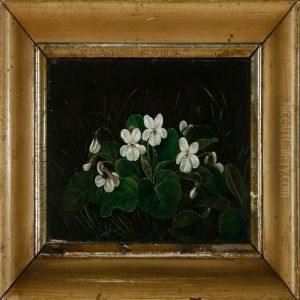 Violets In The Grass by I.L. Jensen