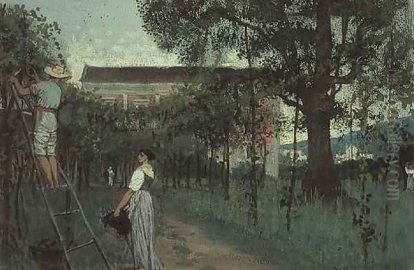 Grape picking - view 1