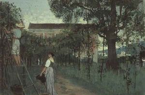 Grape picking