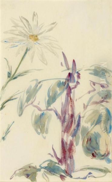 Marguerites. - view 1