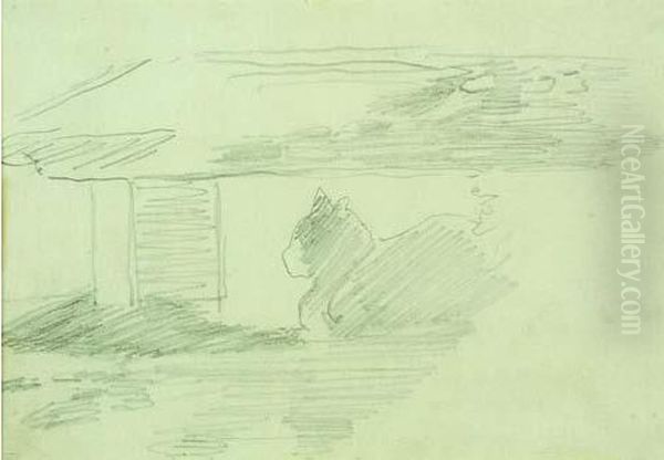Chat Sous Un Banc - view 1