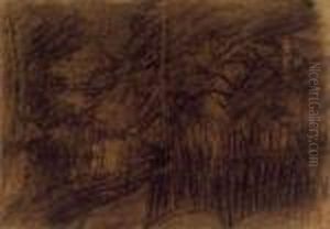 Houses by Istvan Nagy