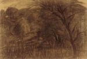 Old Tree by Istvan Nagy