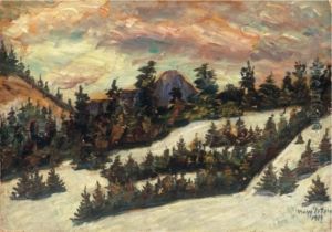 Pine Forest