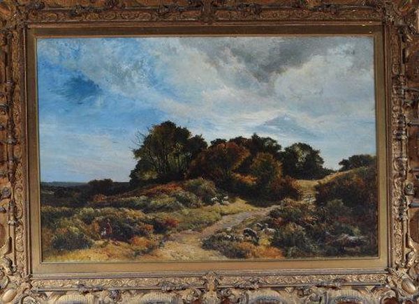 The Path Across Aln Common - view 1