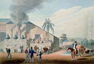 Slaves Set to Work Producing Rum at the Distillery Antigua
