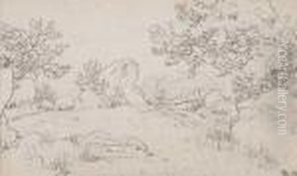 Paysage - view 1