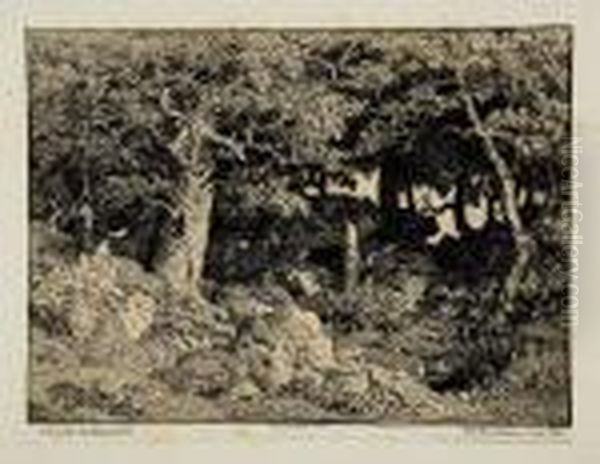 Chenes De Roche. 1861 - view 1