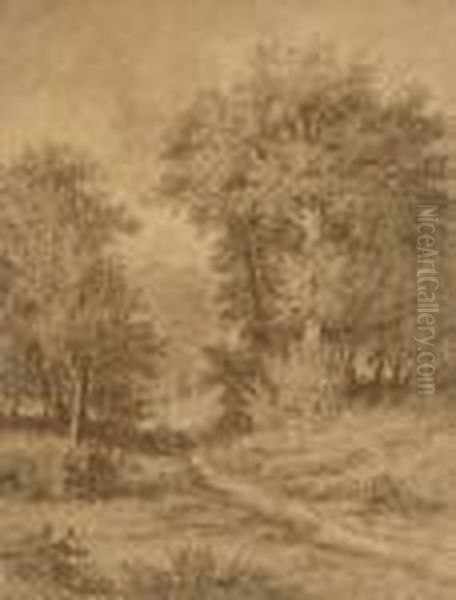 Waldpartie - view 1